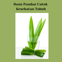 Ikon Gambar Daun Pandan untuk Kesehatan Tubuh