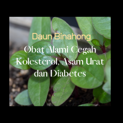 Ikon Gambar Obat Alami Cegah Kolesterol, Asam Urat dan Diabetes