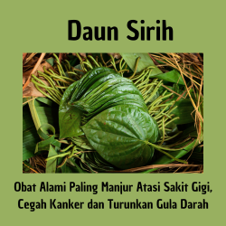 Ikon Gambar Obat Alami Paling Manjur Atasi Sakit Gigi, Cegah Kanker dan Turunkan Gula Darah