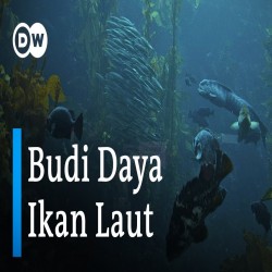 Ikon Gambar Rekayasa Budidaya Ikan Laut di Darat
