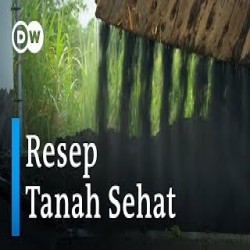 Ikon Gambar Terungkap Rahasia Kuno Racikan Tanah Subur Suku Asli Amazon
