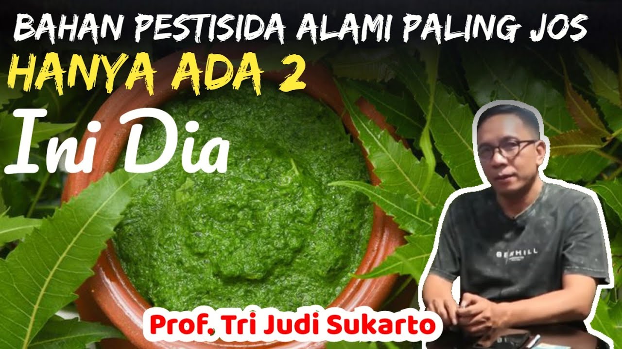 gambar Cara Membuat Pestisida Organik Paling Ampuh