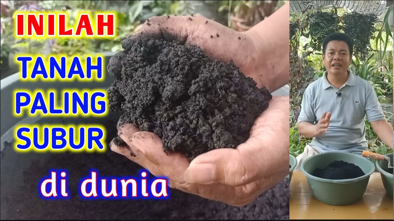 gambar Cara Membuat Terra Preta