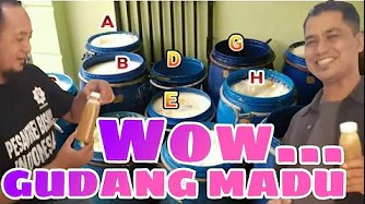 gambar gudang madu osing honey banyuwangi