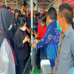 Madam: I Am A Wholesale For Gifts In Jakarta