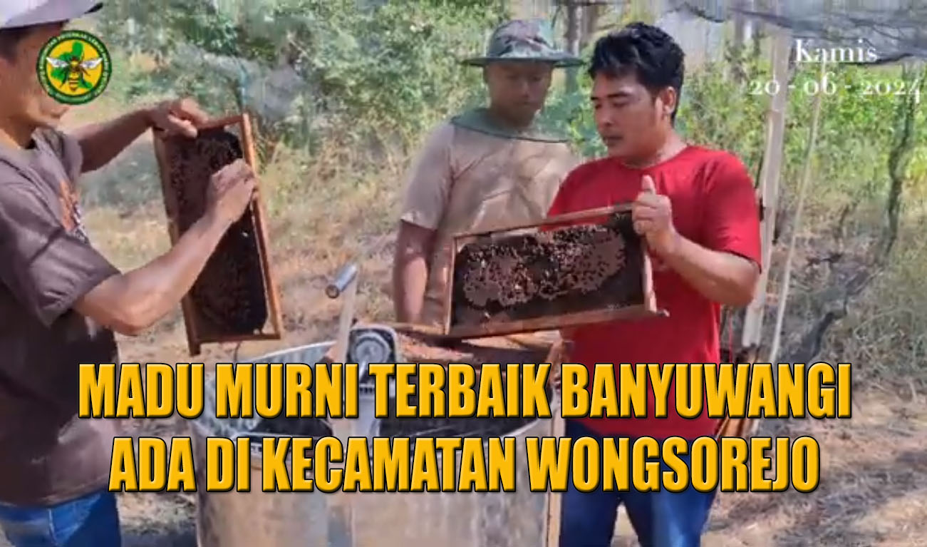 gambar madu murni terbaik banyuwangi