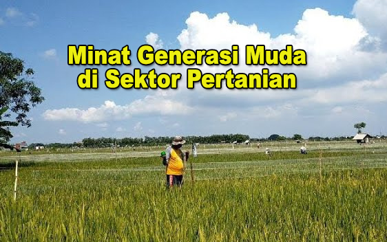 gambar Minat Generasi Muda di Sektor Pertanian Tuban