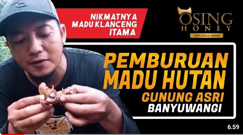 gambar perburuan madu klanceng