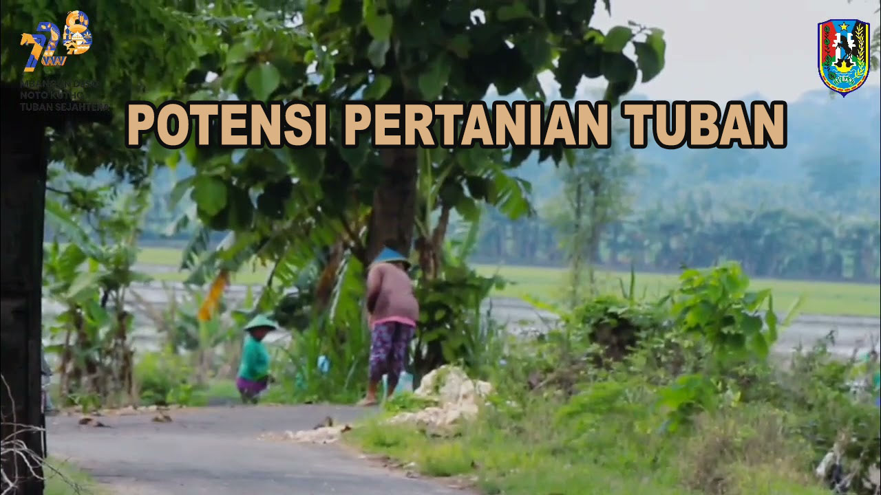 gambar Potensi Lahan Pertanian Tuban