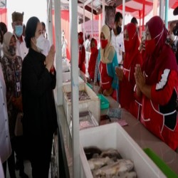 Puan Minta Upayakan Hilirisasi Tangkapan Nelayan
