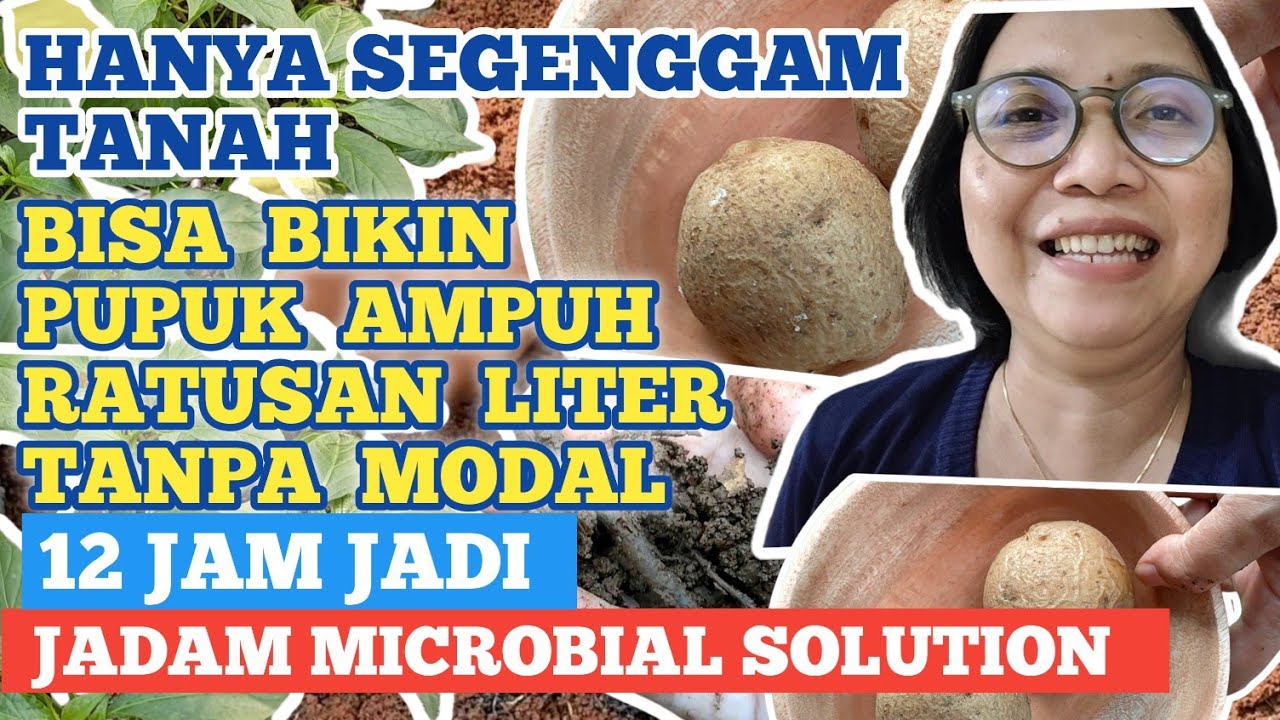 gambar Pupuk Ampuh Tanpa Modal