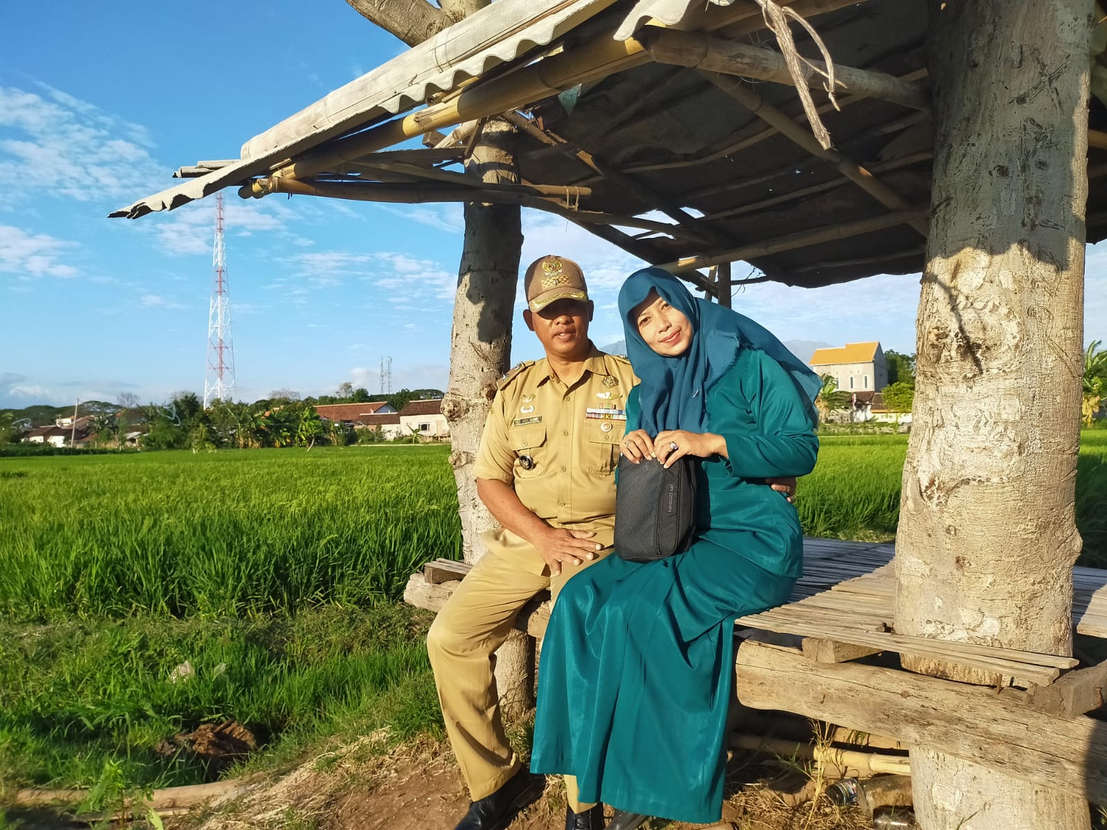 gambar sawah bajulmati wongsorejo
