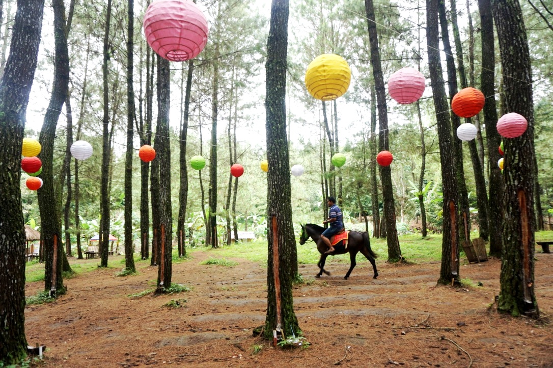 profil ozay adventure banyuwangi