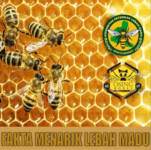 edukasi komunitas