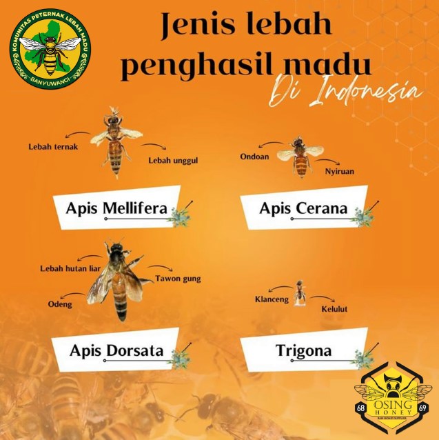 edukasi komunitas