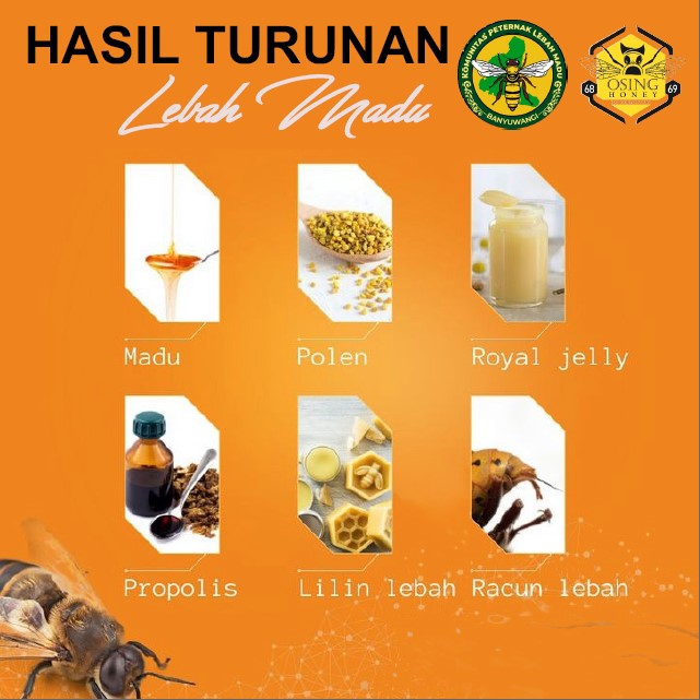 edukasi komunitas
