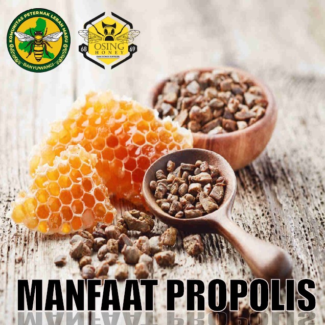 keterangan <p>Manfaat Propolis Bagi Kesehatan</p>