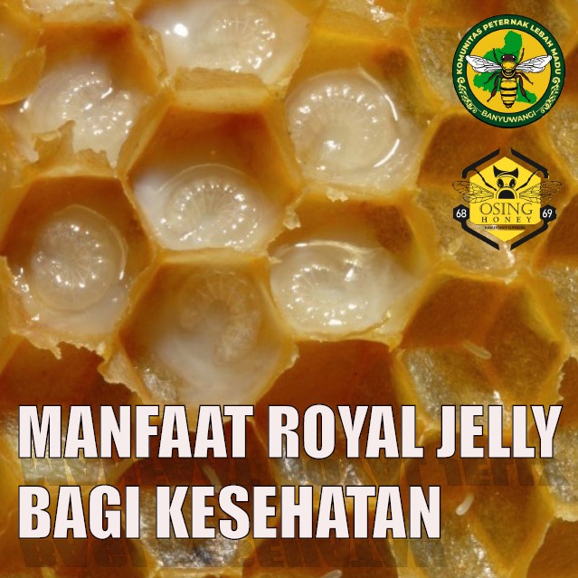 keterangan <p>Manfaat Royal Jelly Bagi Kesehatan</p>