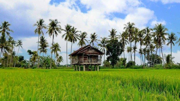 Program Wisata