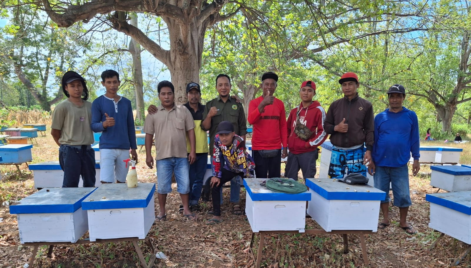 profil bajulmati