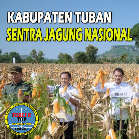 struktur organisasi