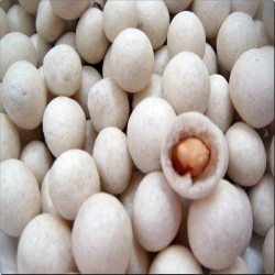 Gambar Agen Kacang Atom / Shanghai