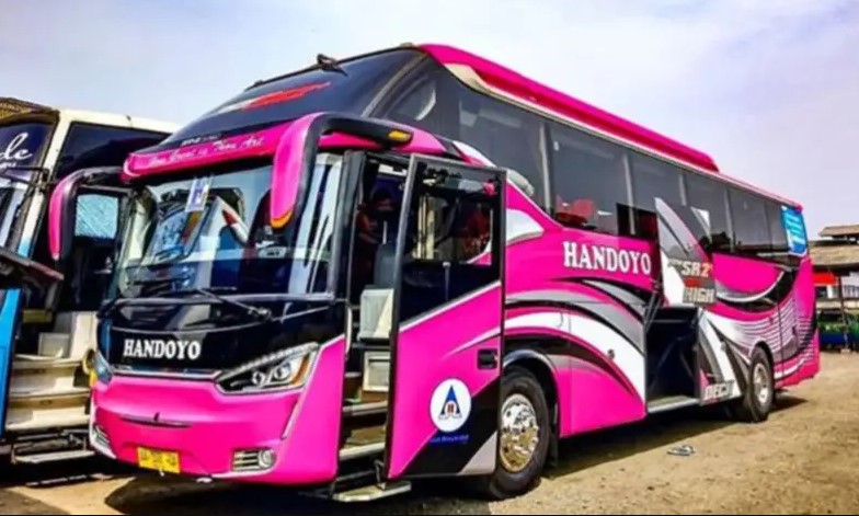 gambar bus jawa sumatera dari banyuwangi