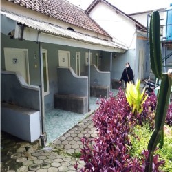Gambar Homestay Dekat Pelabuhan Ketapang