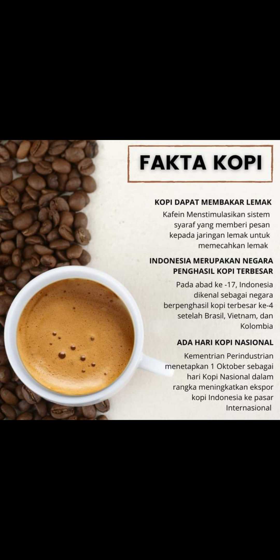 gambar Kopi Jember Kopi Robusta , kopi Stamina 