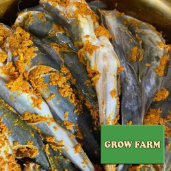 Gambar Lele Siap Goreng By Grow Farm