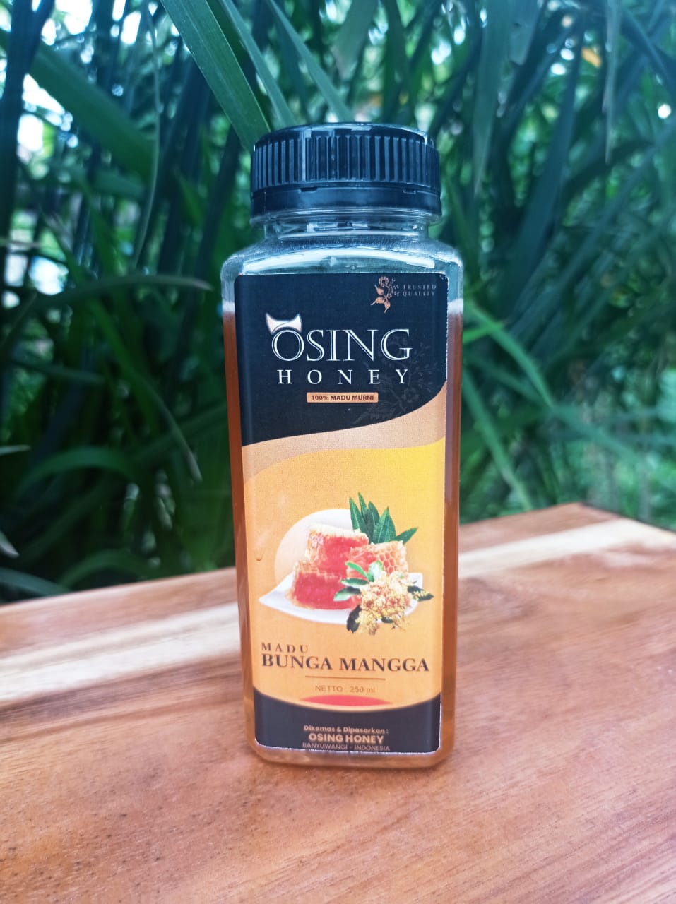 gambar Madu, madu murni osing honey, madu banyuwangi, osing honey, madu asli, Madu murni, madu sehat, madu banyuwangi, madu lebah, lebah, tawon, apis melifera, apis, apis cerena, apis dorsata, trigona, menuman sehat, herbal, jamu