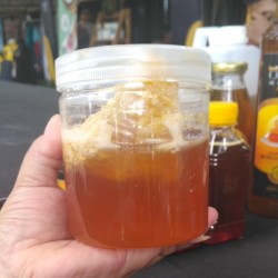 Gambar Madu Dorsata / Gong