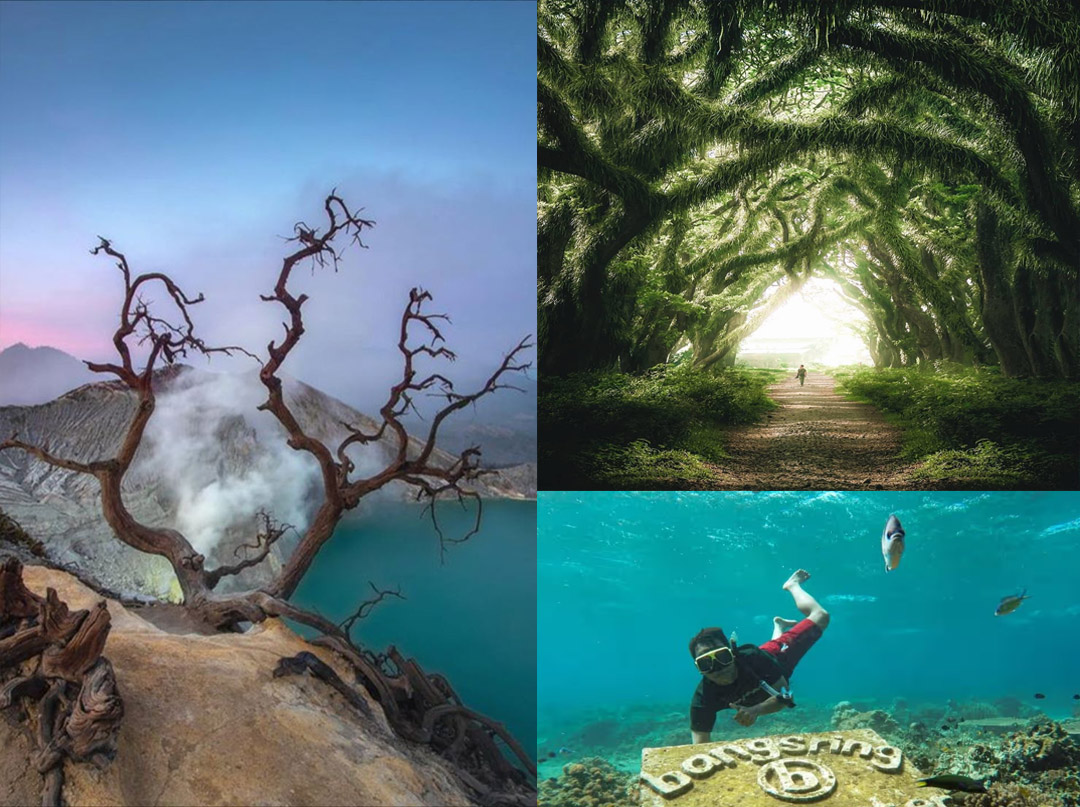 gambar paket wisata banyuwangi eksotis