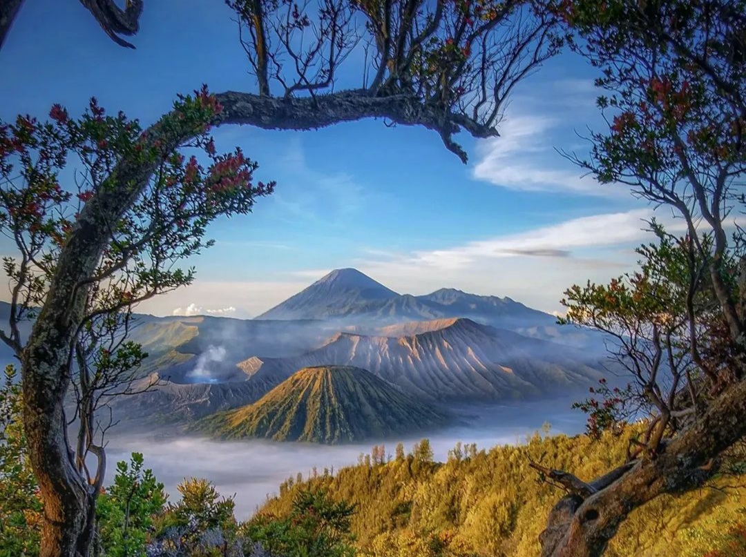 gambar paket wisata bromo bersama berama tour