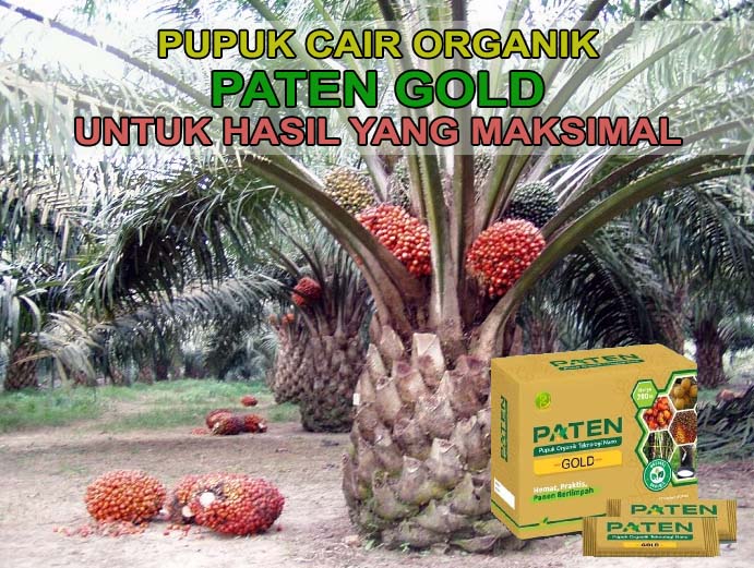 pupuk paten kelapa sawit kaltara kalimantan utara