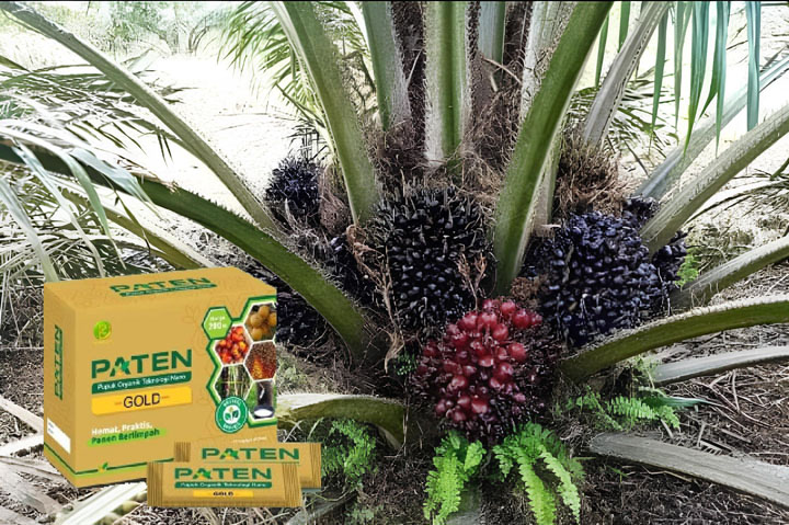 Pupuk paten kelapa sawit Sulawesi Tengah