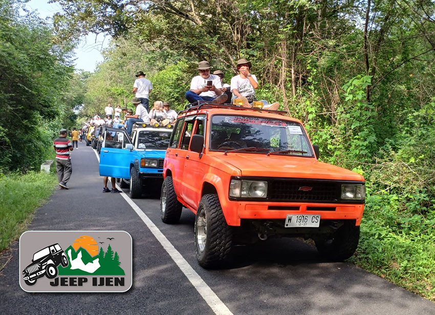 gambar rental jeep trooper banyuwangi, jeep ijen. Paparan Gambar : <p>Terlihat gambar konvoi jeep troper di jalan aspal pinggir hutan. Sebagian besar jeep atapnya dinaiki oleh para wisatawang yang menumpang.</p>