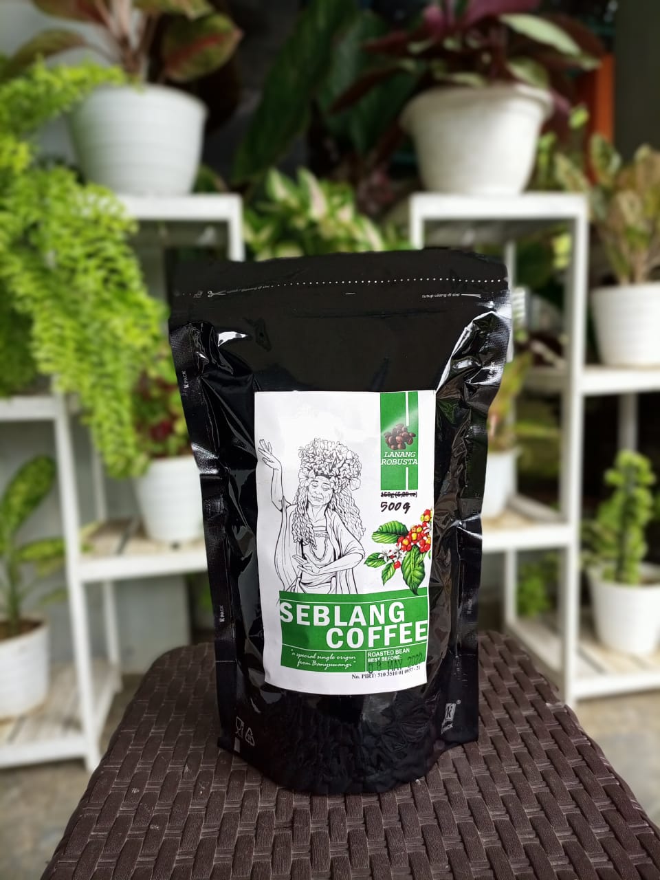 gambar Robusta