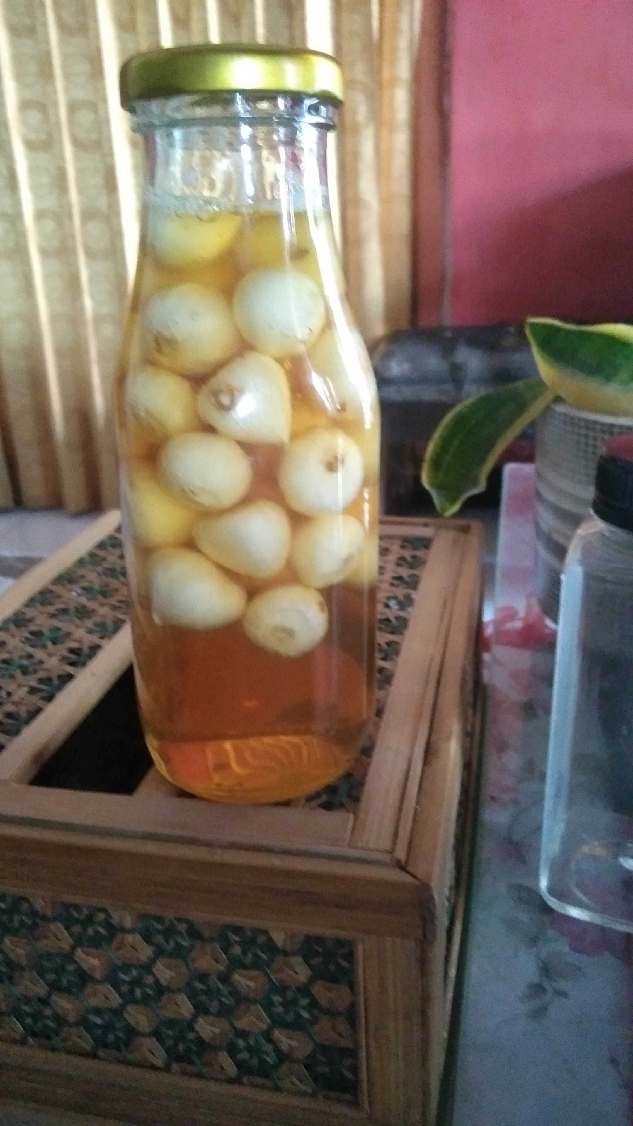 gambar Sehat bugar hingga menua. Paparan Gambar : <p></p>
<p> </p>