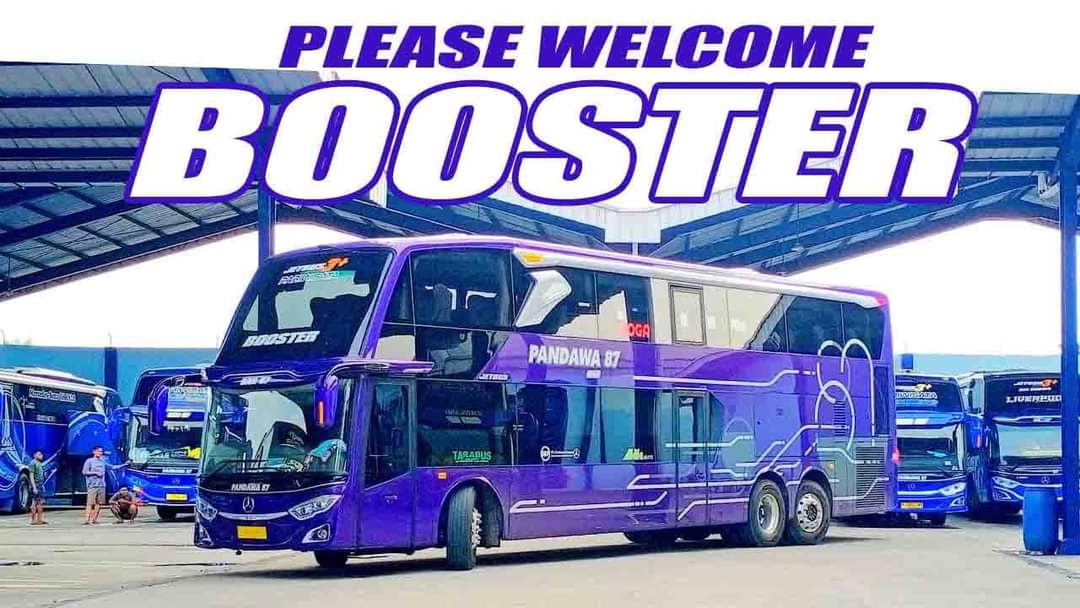 gambar tiket bus banyuwangi jakarta, tiket bus pandawa
