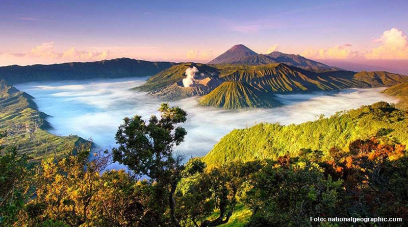 gambar Tour Bromo Bersama Wahibul Tour