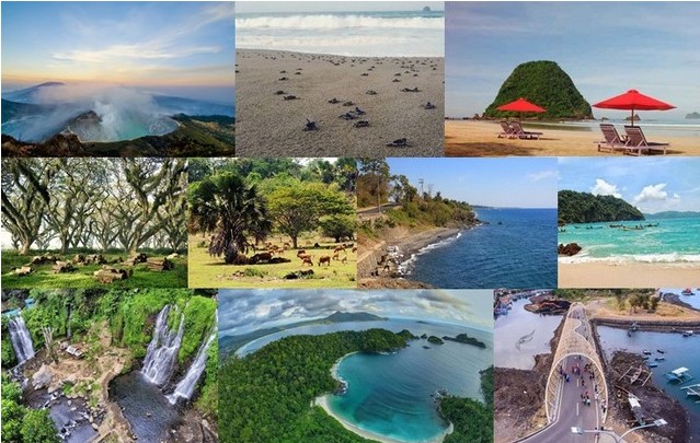 gambar Wisata Banyuwangi Bersama Wahibul Tour & Travel