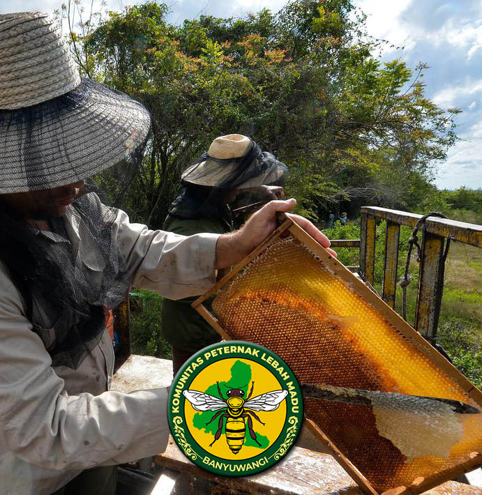 SURGA MADU TERSEMBUNYI DI UJUNG TIMUR PULAU JAWA